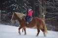 /album/pony-krouzek1/jezdeni3-jpg/